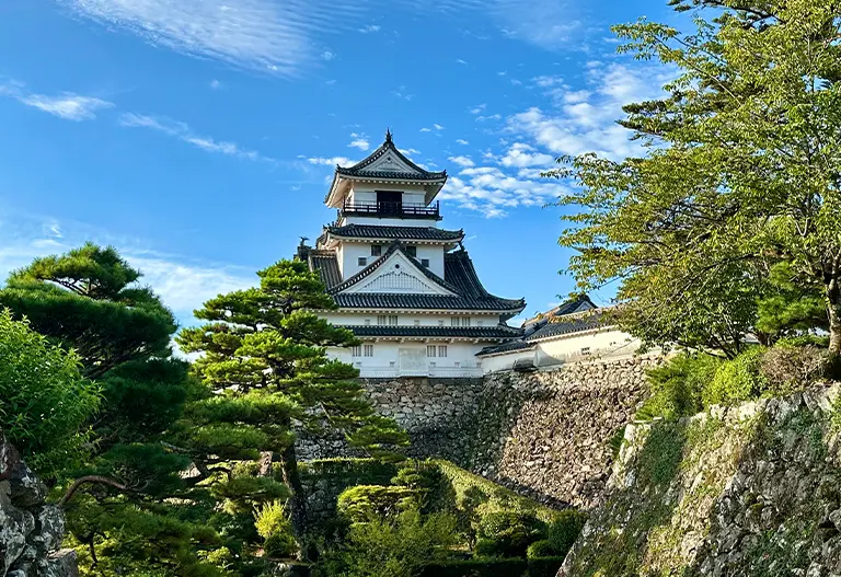 Kochi Castle