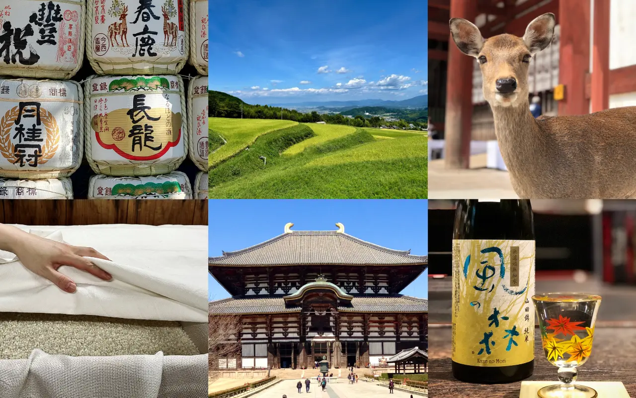 Nara Sake Tour 2026