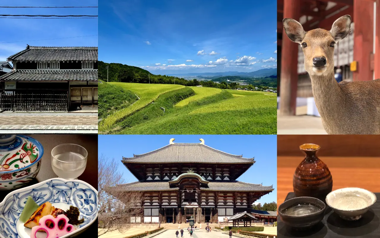 Nara Sake Tour 2026